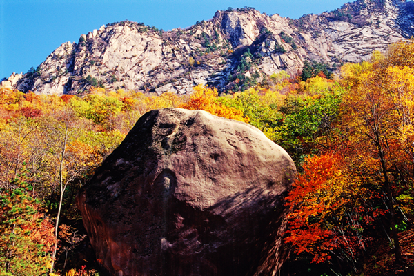 【散文】楊家嶺與霧靈山——孫建英